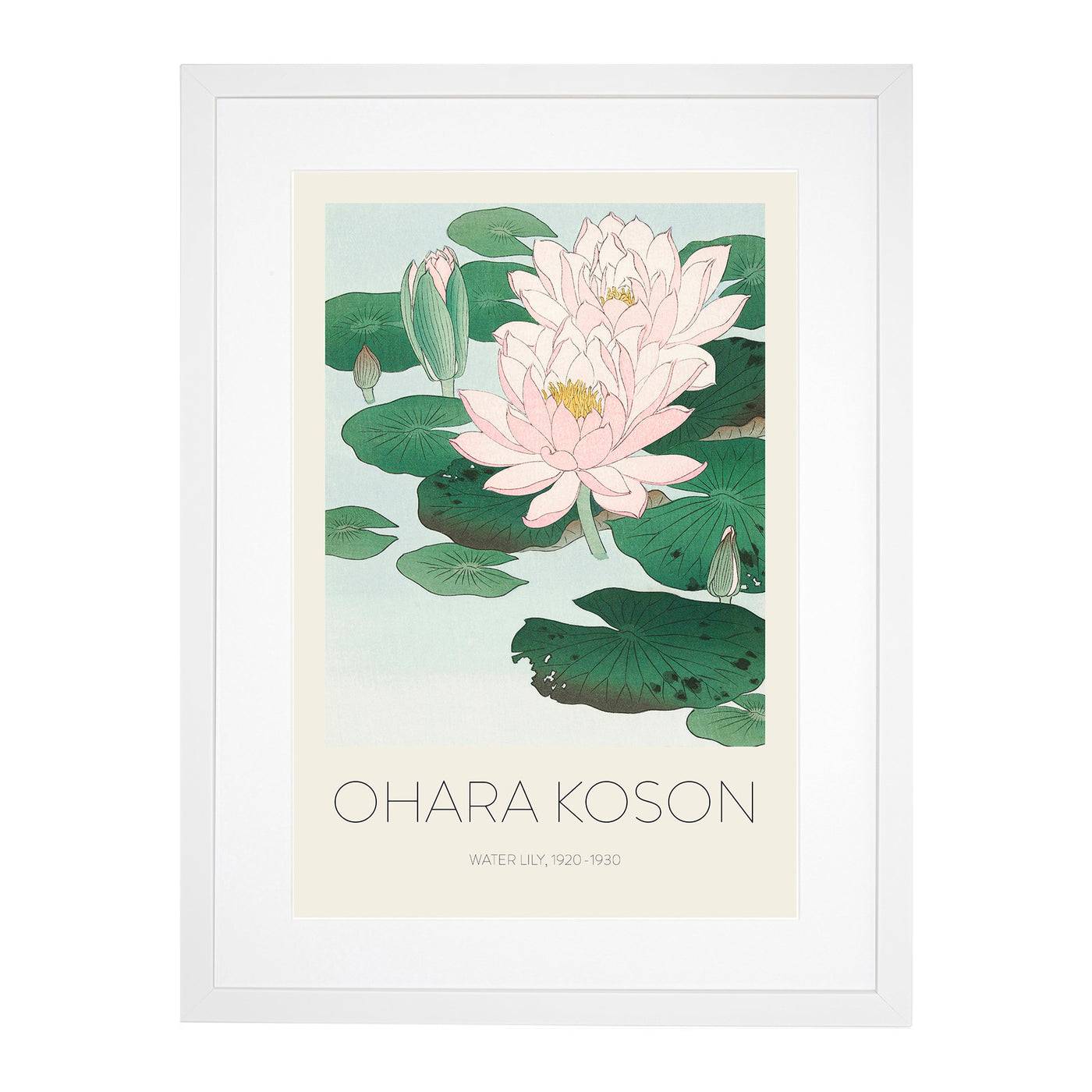 Pink Water Lilies Print By Ohara Koson