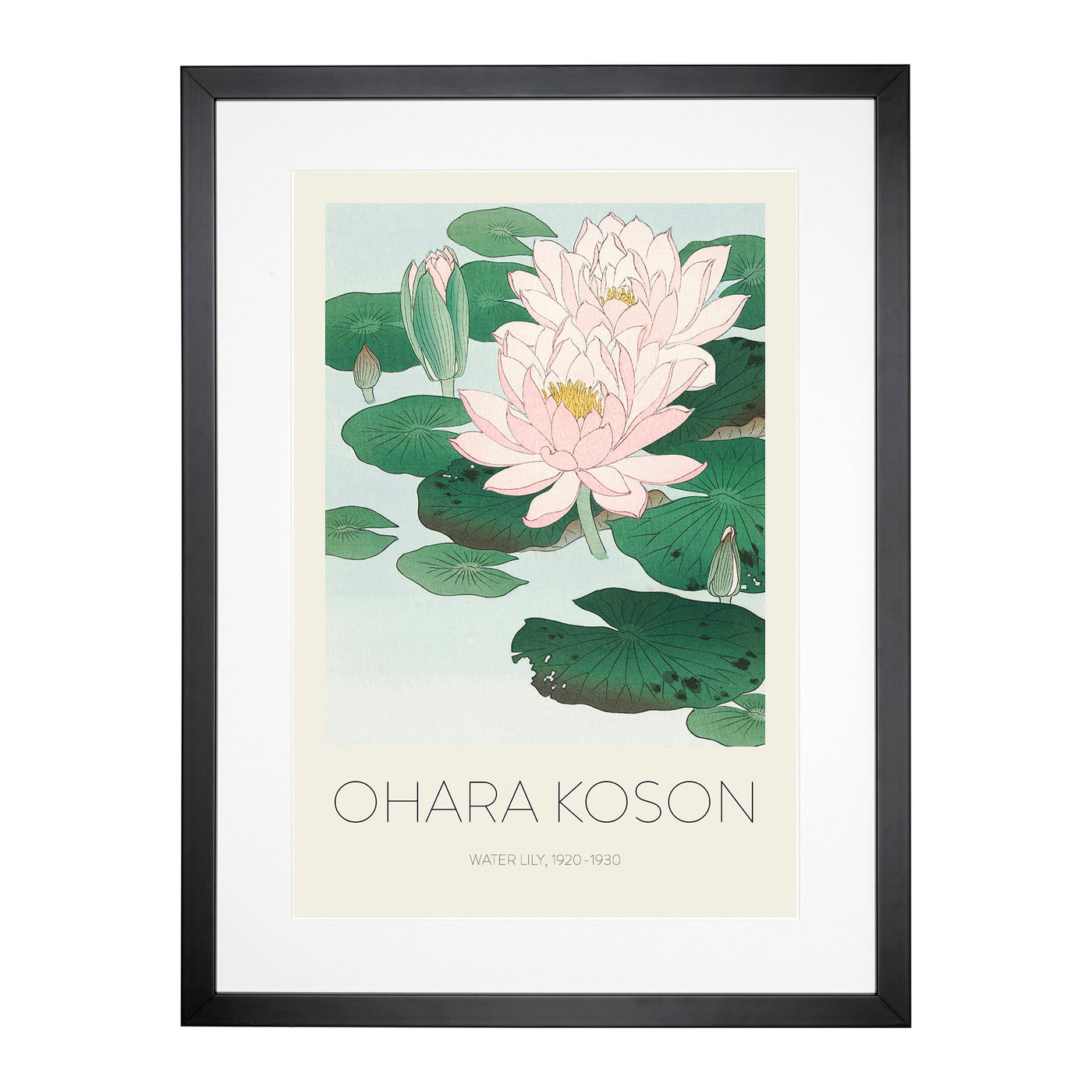 Pink Water Lilies Print By Ohara Koson Framed Print Main Image