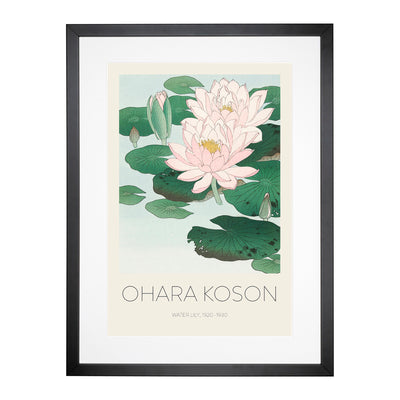 Pink Water Lilies Print By Ohara Koson Framed Print Main Image