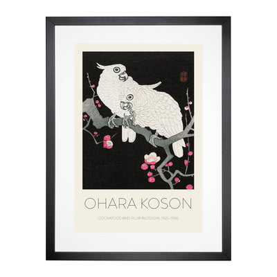 Plum Blossom Tree With Two Cockatoos Print By Ohara Koson Framed Print Main Image