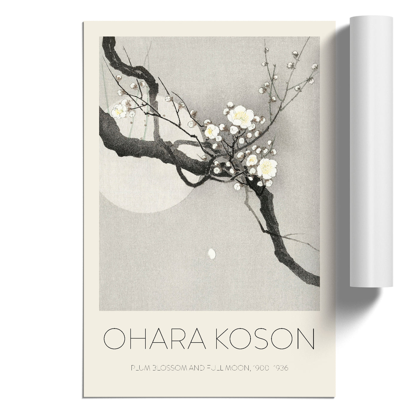 Plum Blossom & Full Moon Print By Ohara Koson