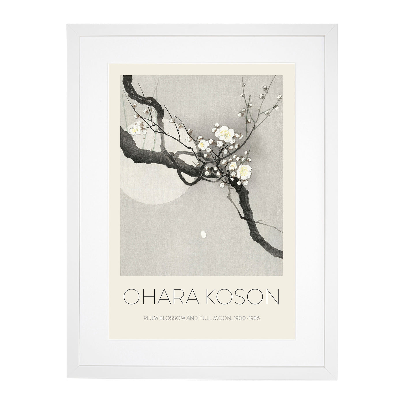 Plum Blossom & Full Moon Print By Ohara Koson