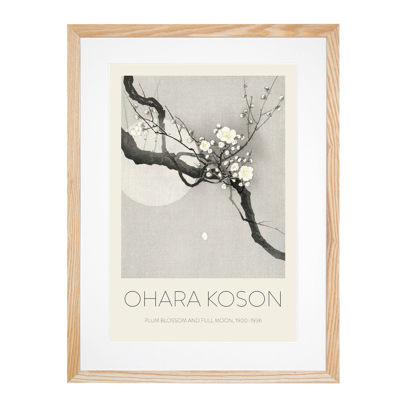 Plum Blossom & Full Moon Print By Ohara Koson