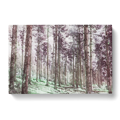 Pretty Forest In Abstract Canvas Print Main Image