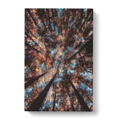 Redwood Forest California Painting Canvas Print Main Image