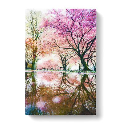 Reflection Of The Pink Blossom Trees In Philadelphia Canvas Print Main Image