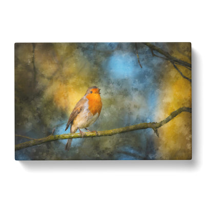 Robin Bird In A Tree Painting Canvas Print Main Image