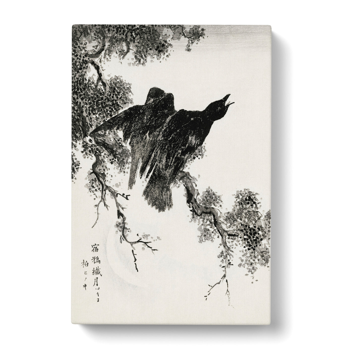 Rooks Upon A Cypress Tree By Numata Kashu Canvas Print Main Image