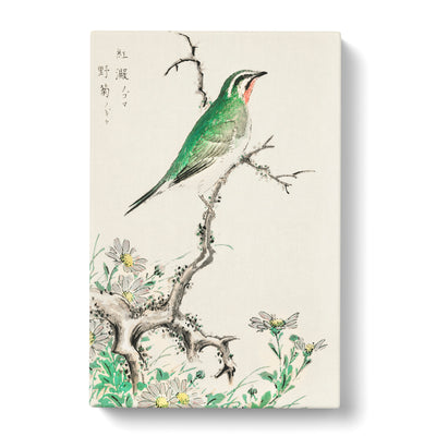 Ruby Throat & Wild Camomile By Numata Kashu Canvas Print Main Image