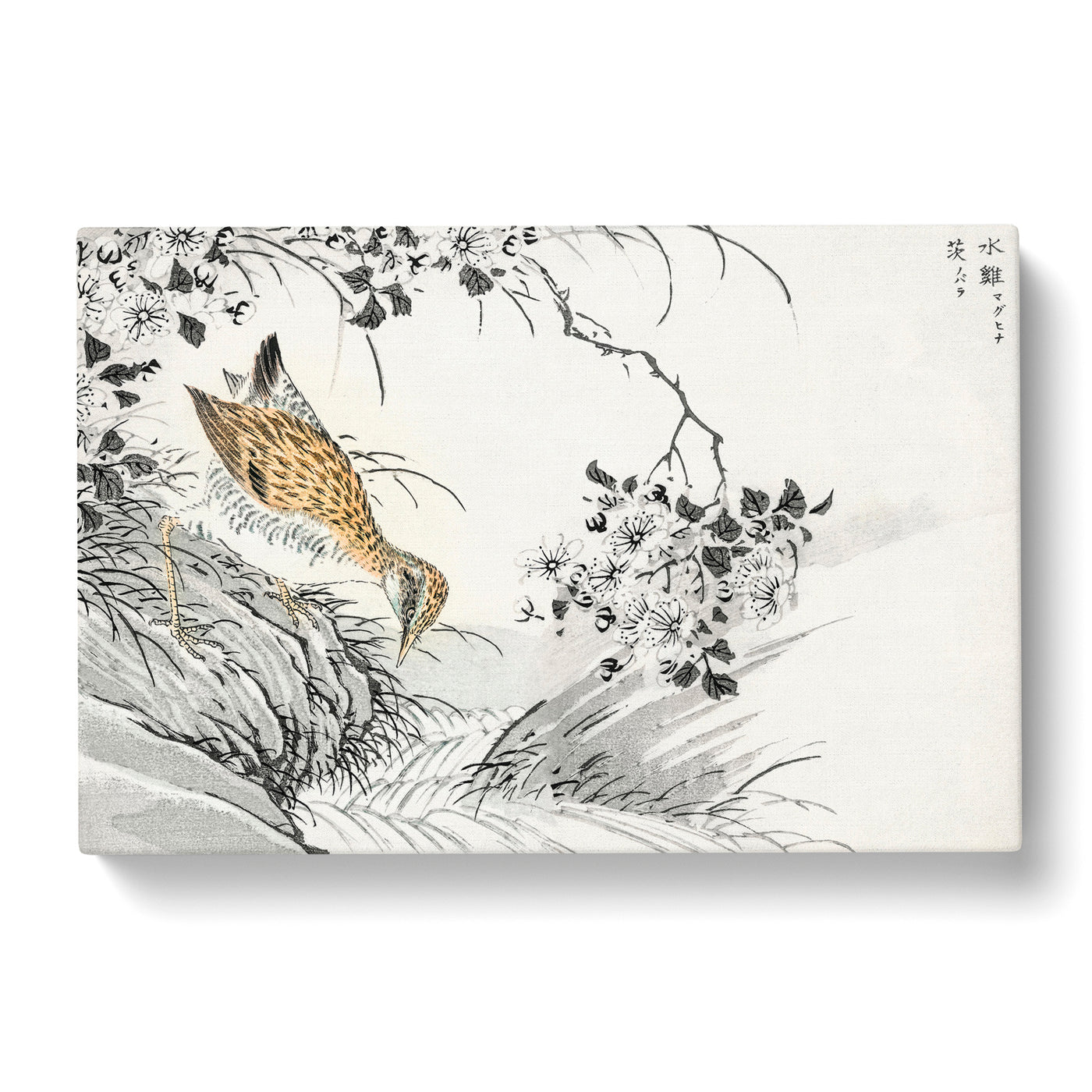 Sandpiper & Wild Rose By Numata Kashu Canvas Print Main Image