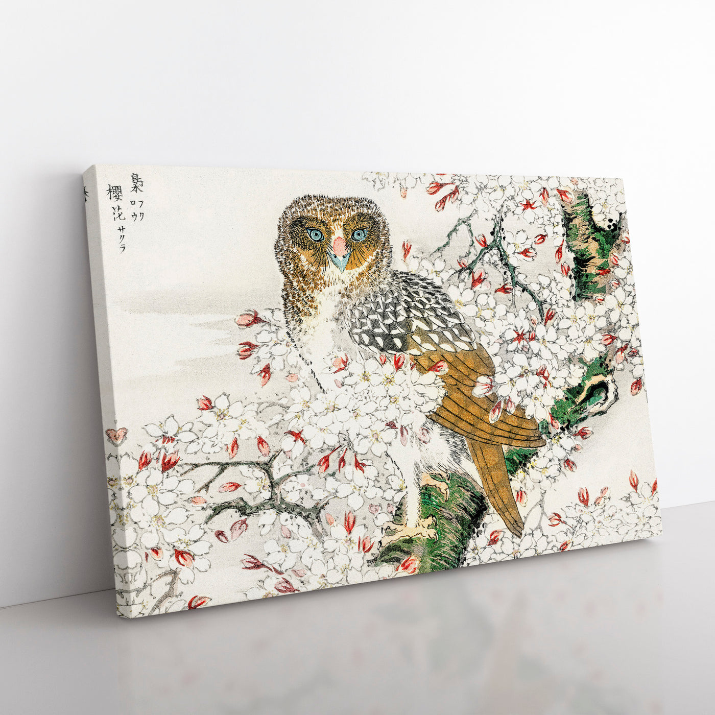 Short Eared Owl & Cherry Flower By Numata Kashu