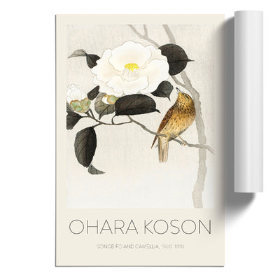 Songbird & Flowering Camellia Print By Ohara Koson