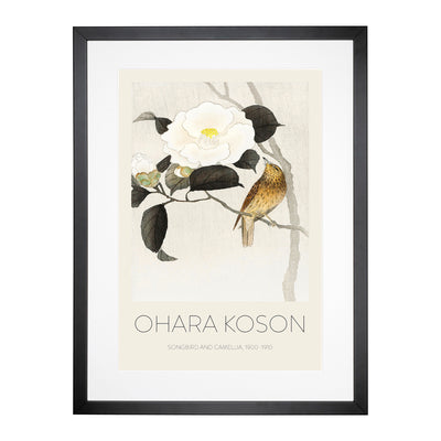 Songbird & Flowering Camellia Print By Ohara Koson Framed Print Main Image