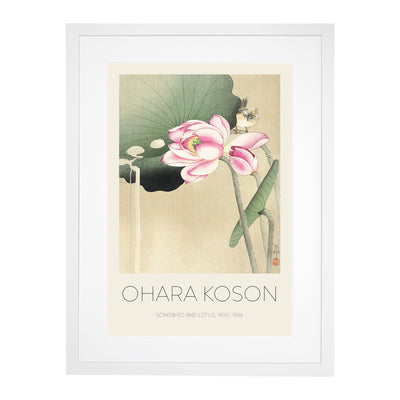 Songbird & Lotus Print By Ohara Koson