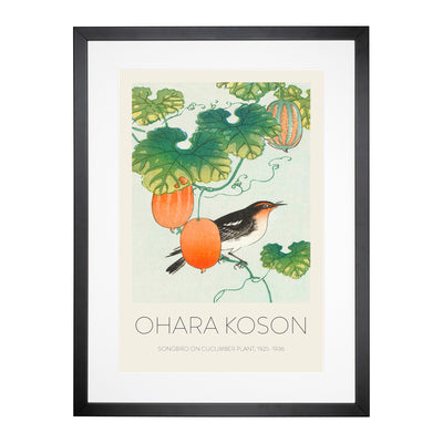 Songbird In Cucumber Plant Print By Ohara Koson Framed Print Main Image