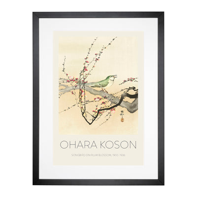 Songbird In A Plum Blossom Tree Print By Ohara Koson Framed Print Main Image