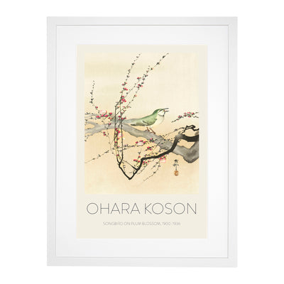 Songbird In A Plum Blossom Tree Print By Ohara Koson