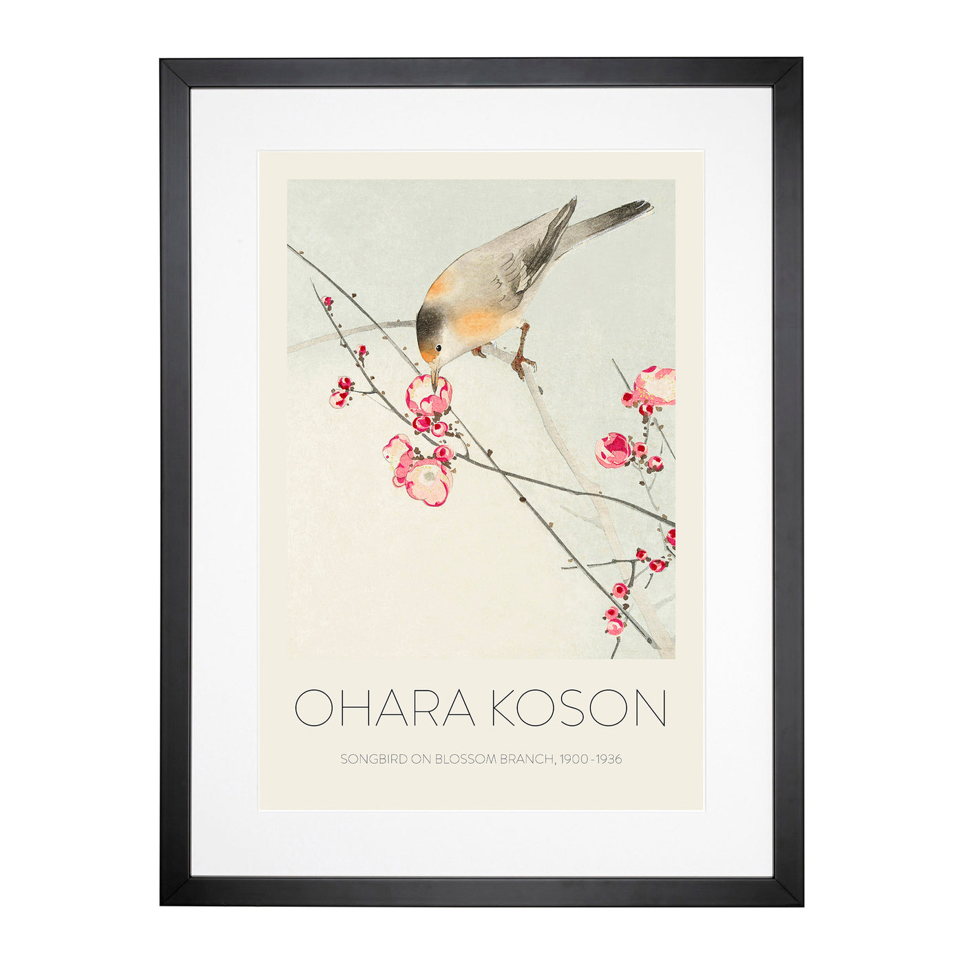 Songbird On A Blossom Branch Print By Ohara Koson Framed Print Main Image
