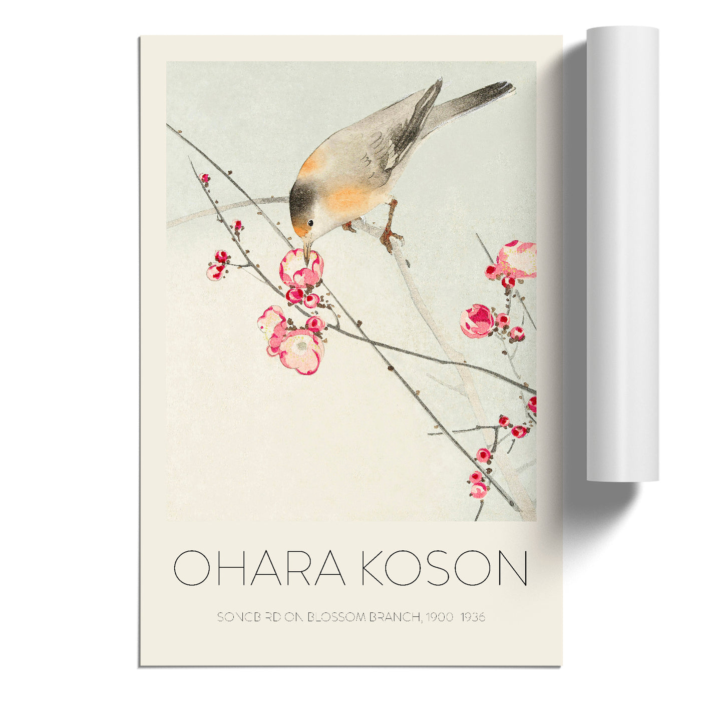 Songbird On A Blossom Branch Print By Ohara Koson