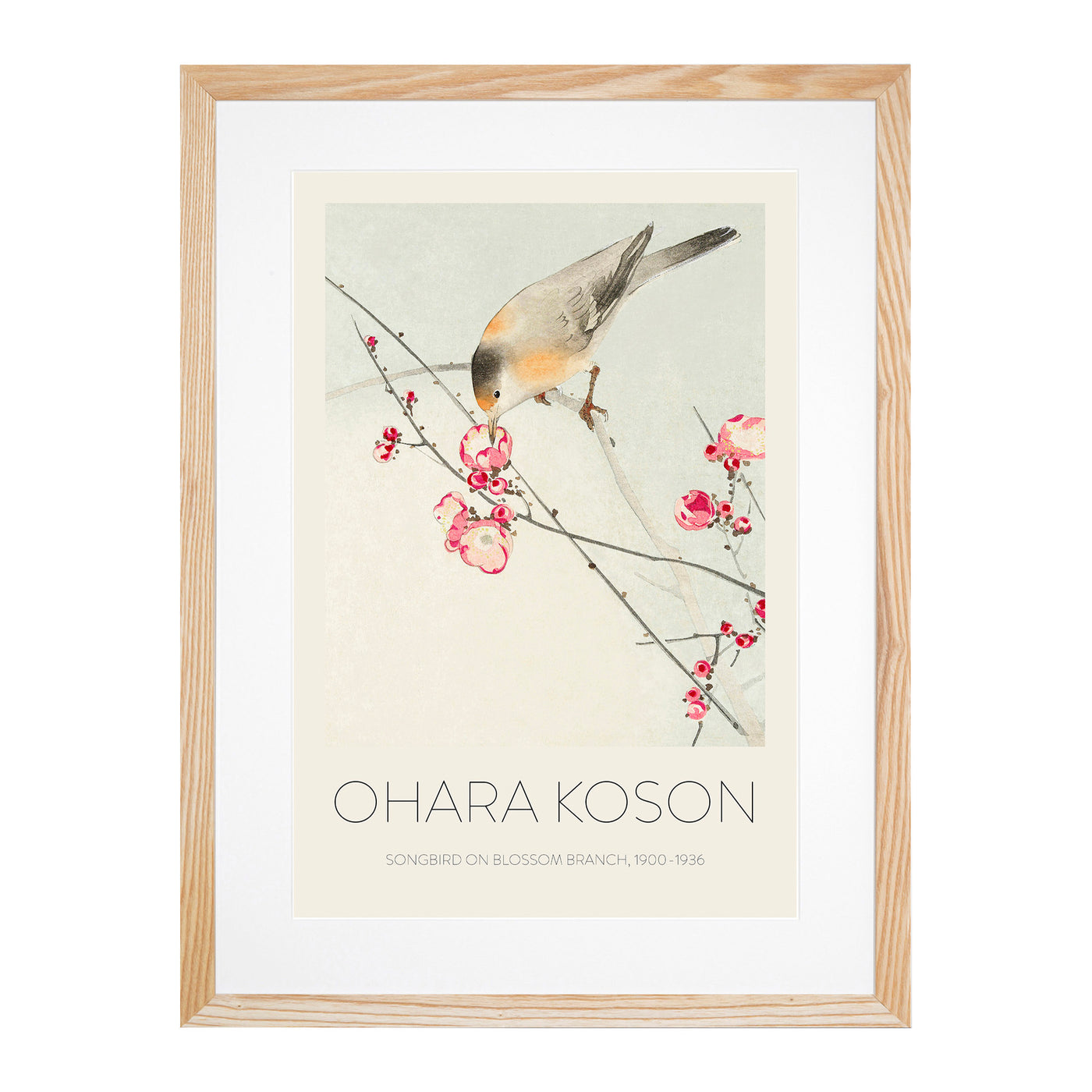 Songbird On A Blossom Branch Print By Ohara Koson