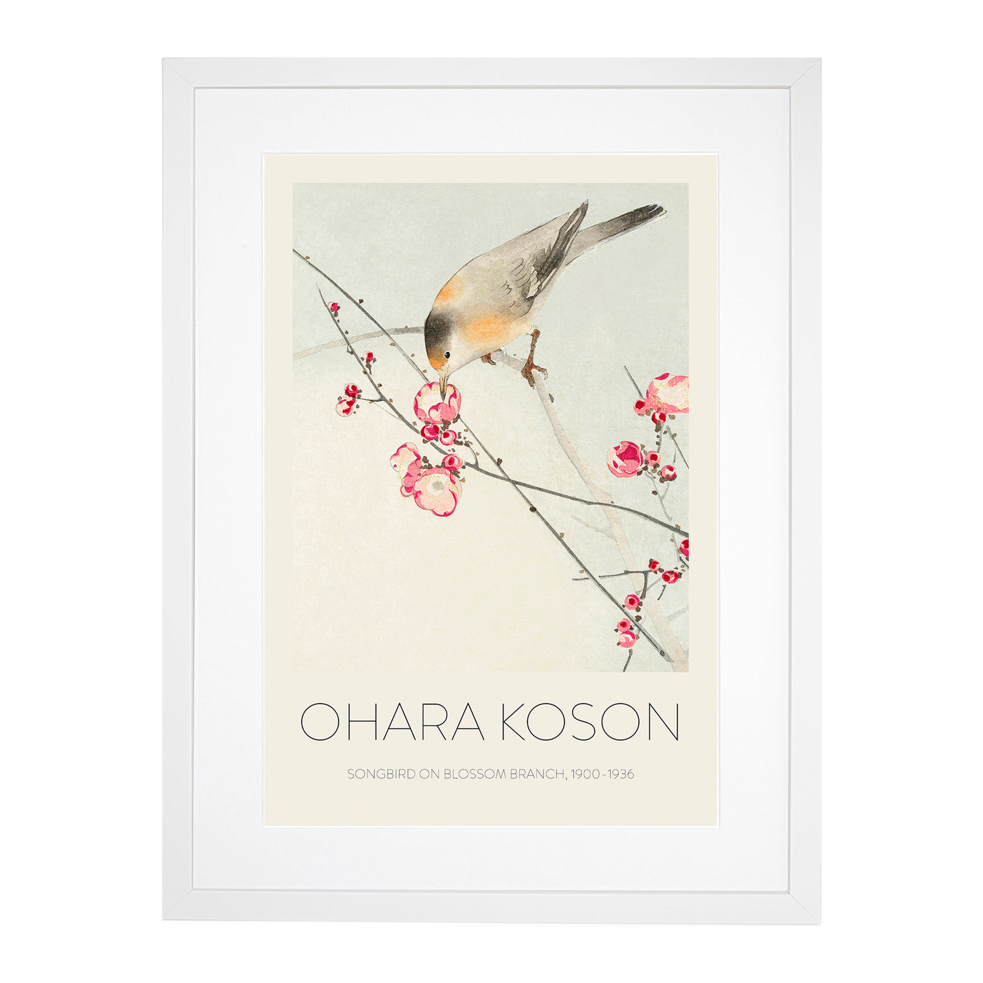 Songbird On A Blossom Branch Print By Ohara Koson