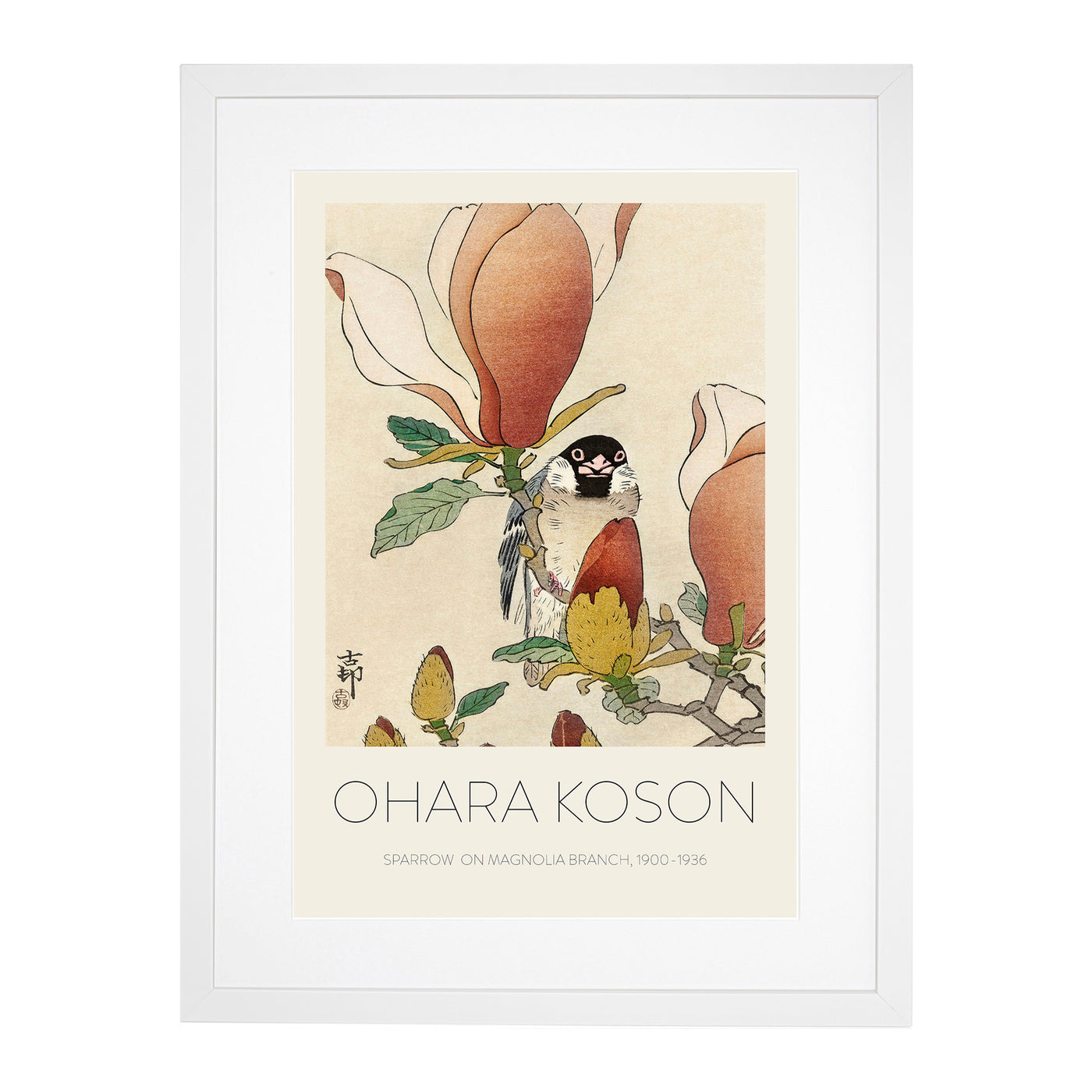 Sparrow Bird Upon Magnolia Branch Print By Ohara Koson