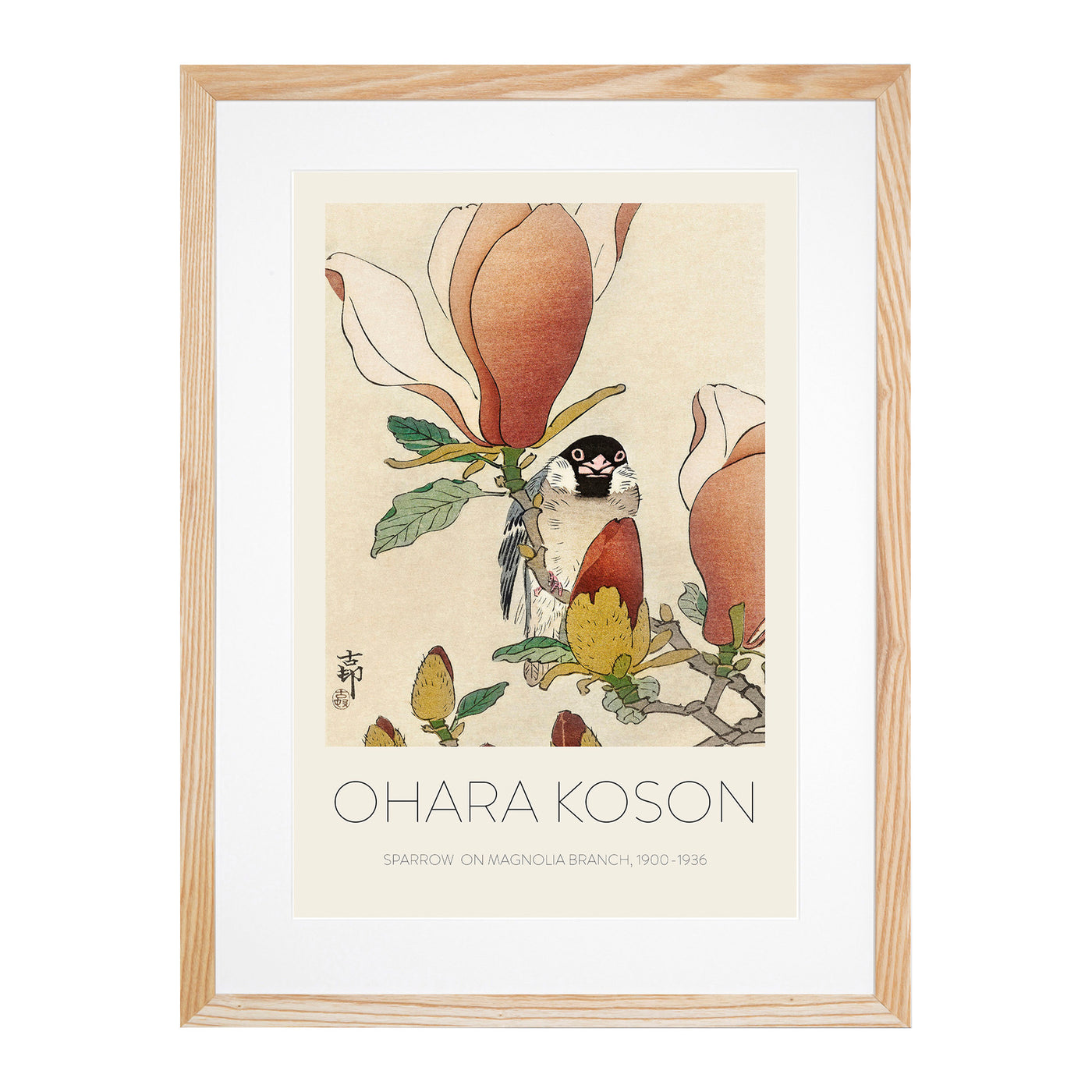 Sparrow Bird Upon Magnolia Branch Print By Ohara Koson