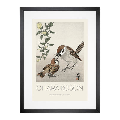 Sparrow Birds & Plants Print By Ohara Koson Framed Print Main Image