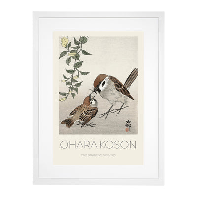 Sparrow Birds & Plants Print By Ohara Koson