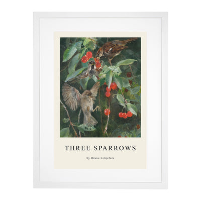 Sparrows In A Cherry Tree Print By Bruno Liljefors