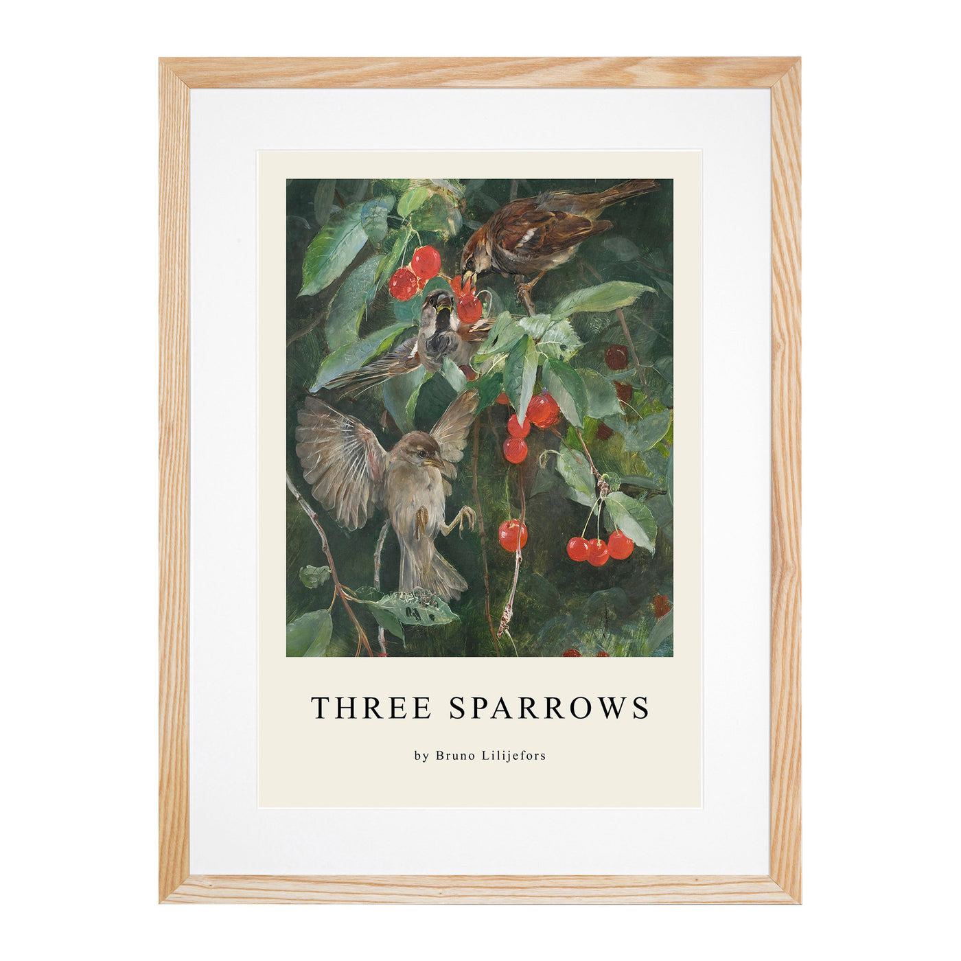 Sparrows In A Cherry Tree Print By Bruno Liljefors