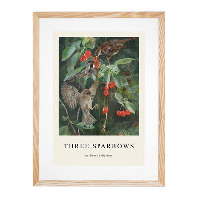 Sparrows In A Cherry Tree Print By Bruno Liljefors