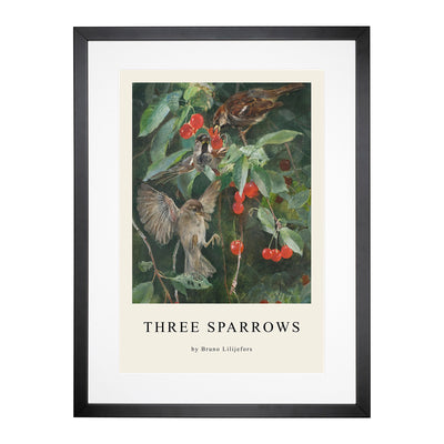 Sparrows In A Cherry Tree Print By Bruno Liljefors Framed Print Main Image