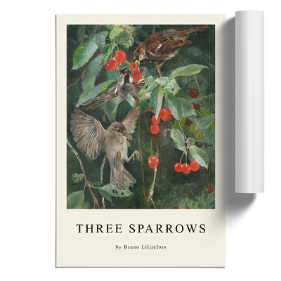 Sparrows In A Cherry Tree Print By Bruno Liljefors