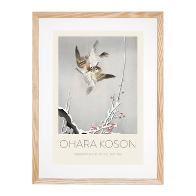 Sparrows & Plum Tree Print By Ohara Koson
