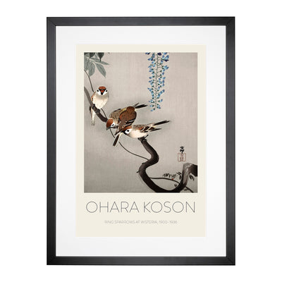 Sparrows At Wisteria Print By Ohara Koson Framed Print Main Image