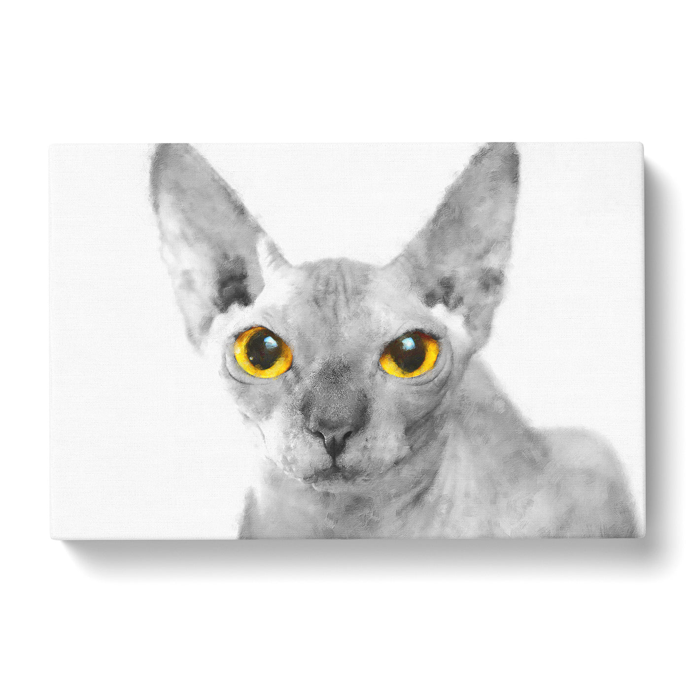 Sphynx Cat With Amber Eyes Paintingcan Canvas Print Main Image