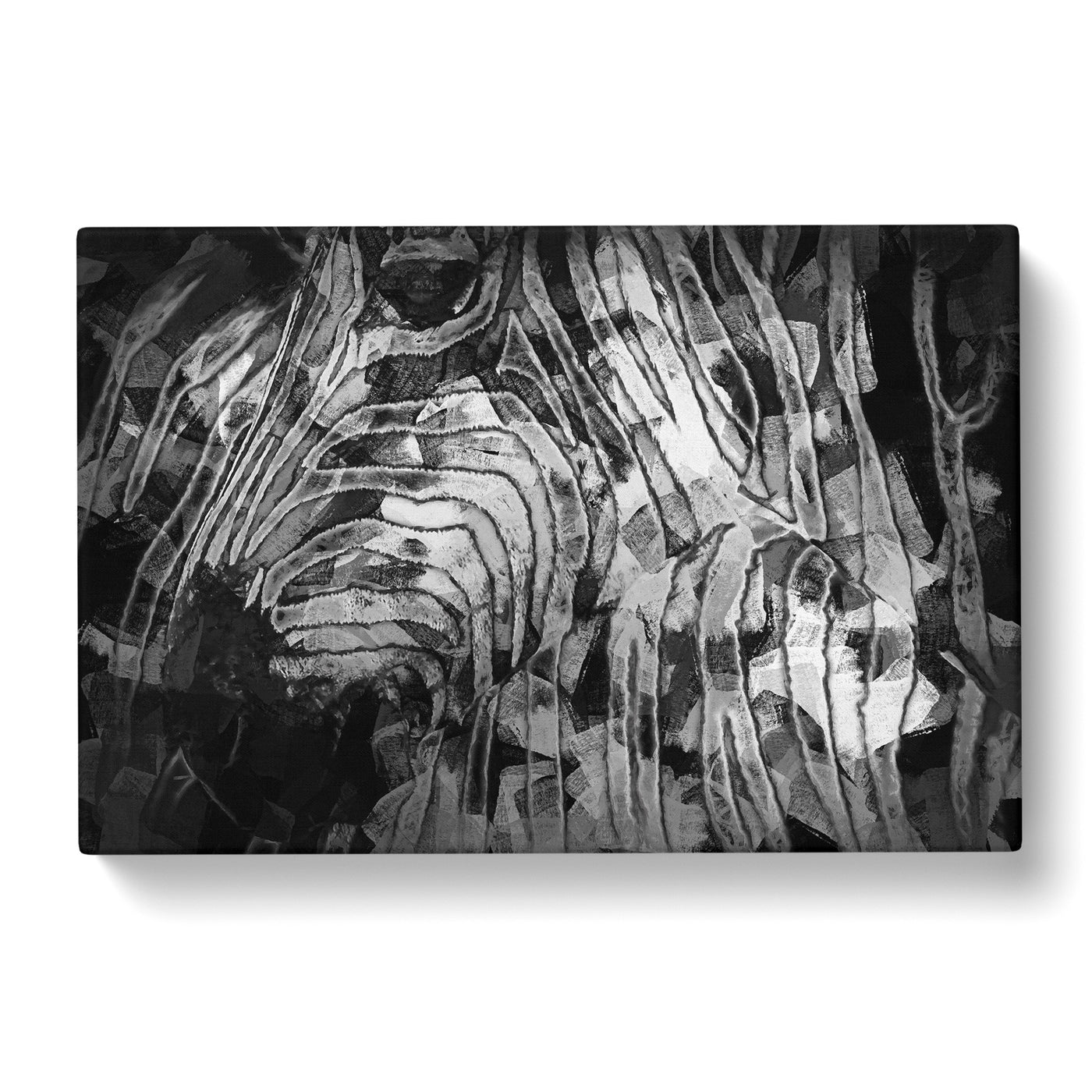 Stripes Of The Zebras In Abstract Canvas Print Main Image