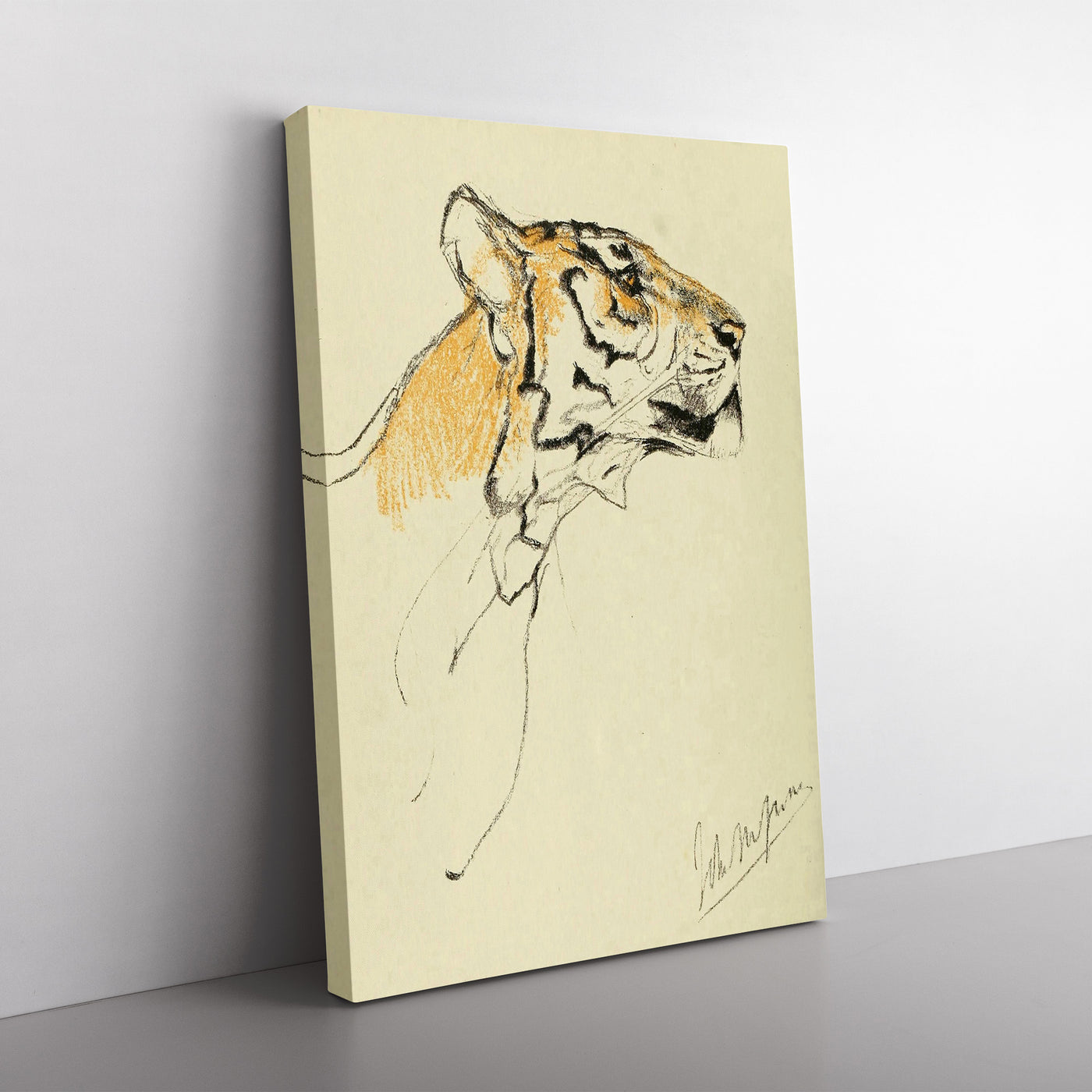 Study Of A Tiger Vol.2 by John Macallan Swan