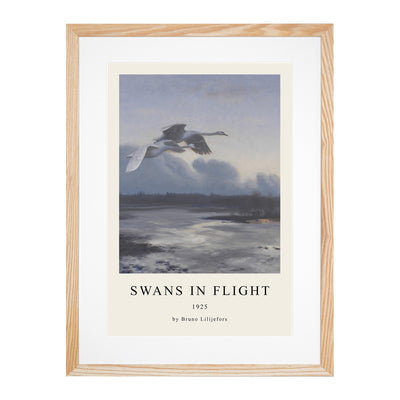 Swans In Flight Vol.1 Print By Bruno Liljefors