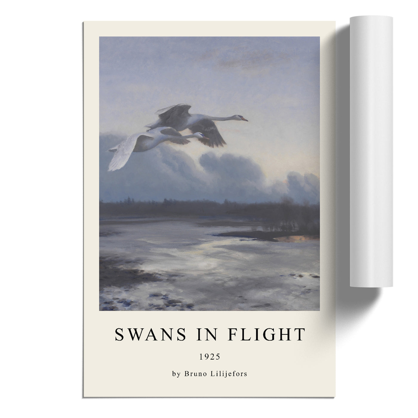 Swans In Flight Vol.1 Print By Bruno Liljefors