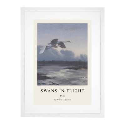 Swans In Flight Vol.1 Print By Bruno Liljefors