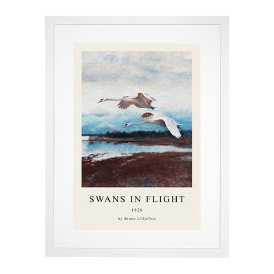 Swans In Flight Vol.2 Print By Bruno Liljefors