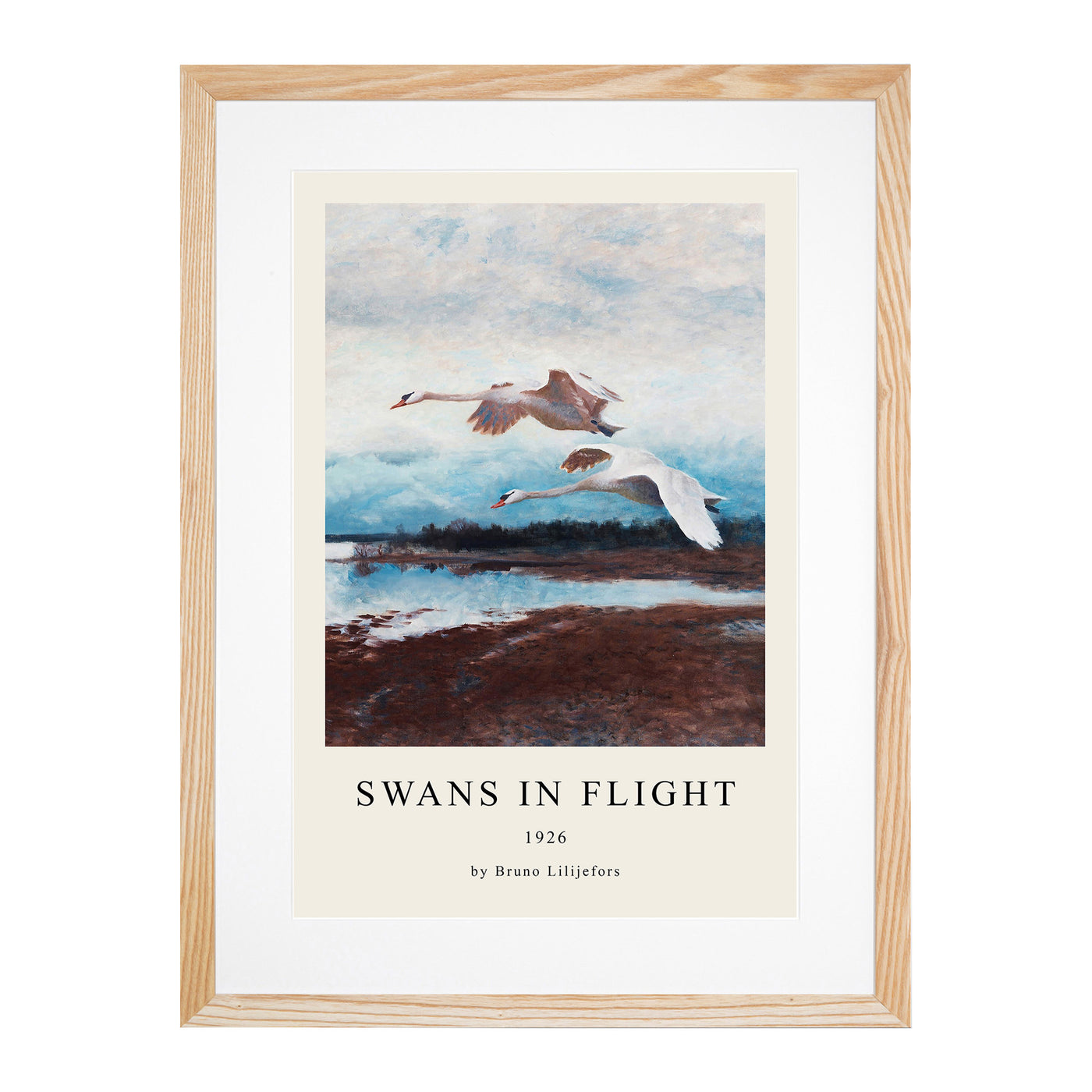 Swans In Flight Vol.2 Print By Bruno Liljefors