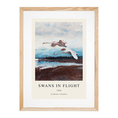 Swans In Flight Vol.2 Print By Bruno Liljefors