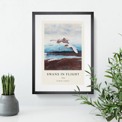 Swans In Flight Vol.2 Print By Bruno Liljefors