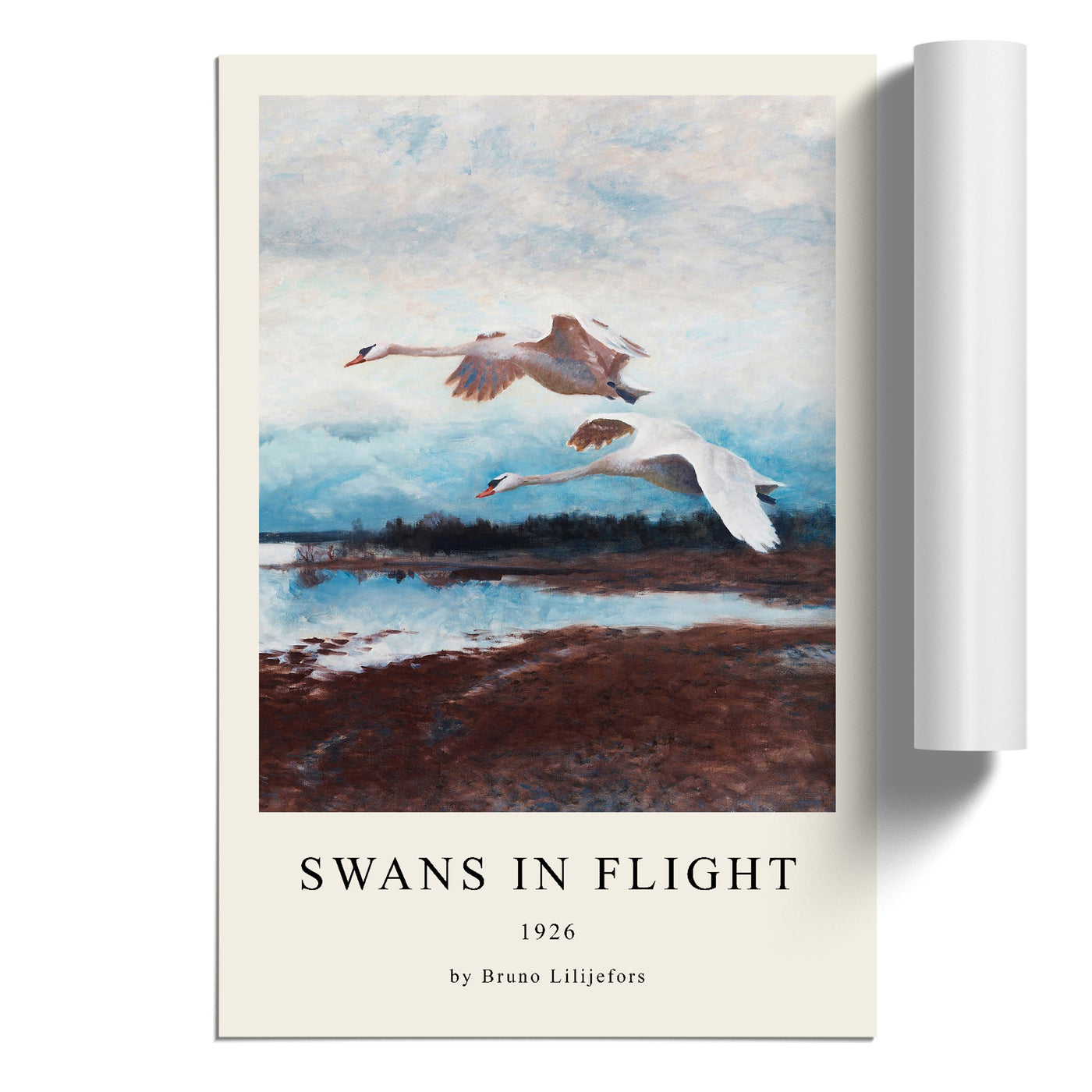 Swans In Flight Vol.2 Print By Bruno Liljefors