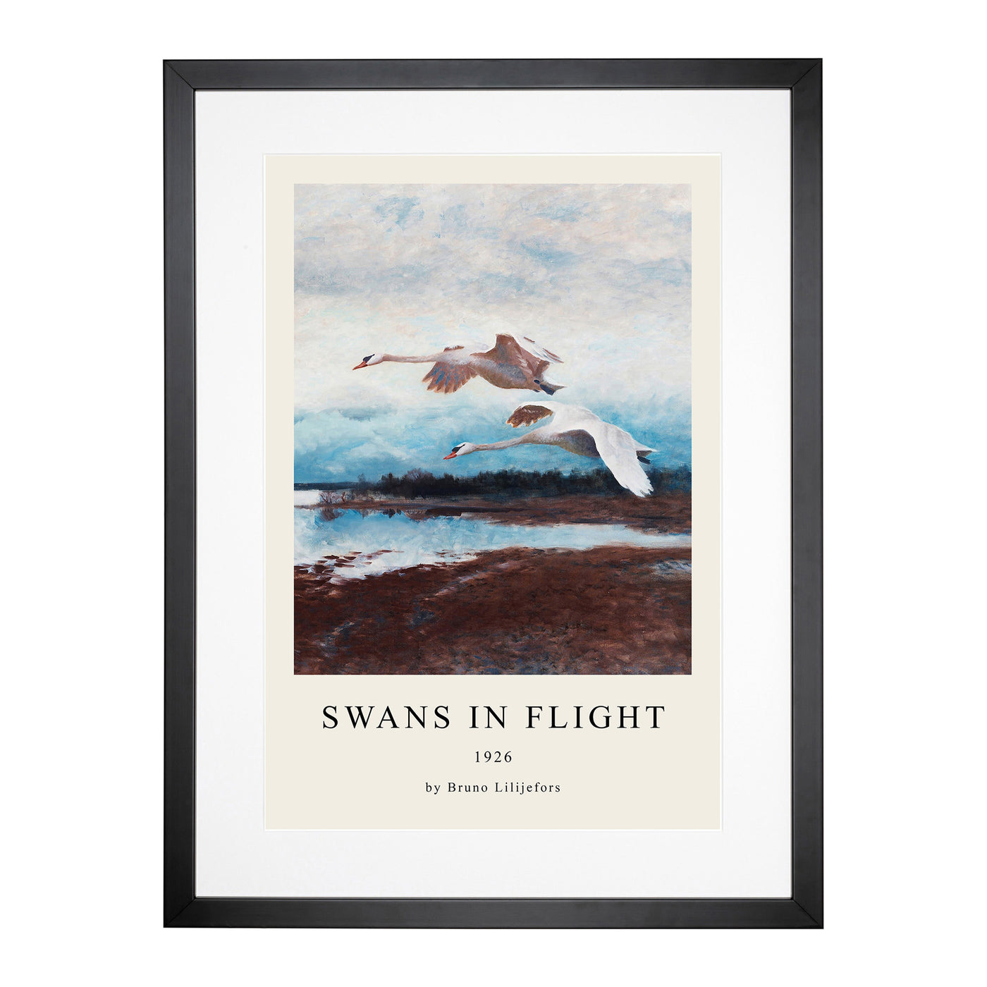 Swans In Flight Vol.2 Print By Bruno Liljefors Framed Print Main Image