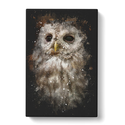 Tawny Owl Vol.1 Paint Splash Canvas Print Main Image