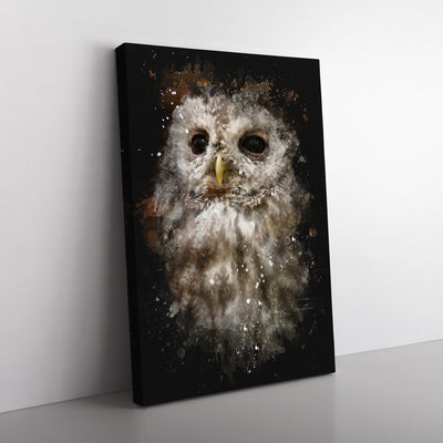 Tawny Owl Vol.1